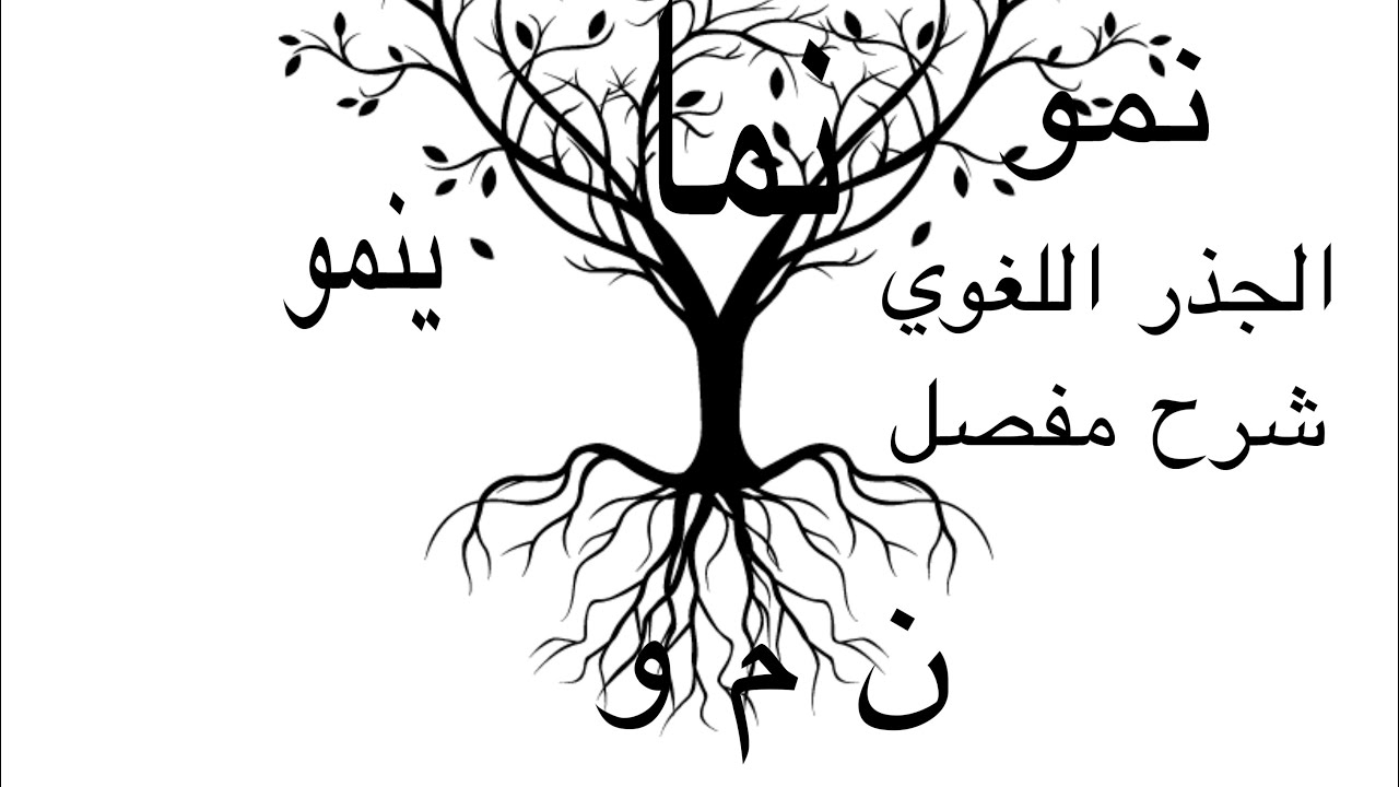 الجذر اللغوي كيف تعرف أصل الكلمة كيف تستخرج وتحدد الجذر #اللغة العربية ...