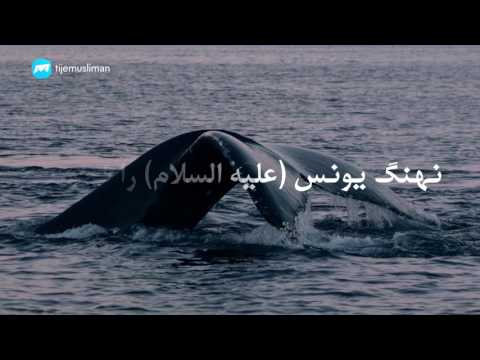 نتیجه توکل به الله متعال 