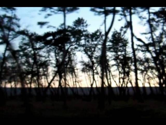 AMPEX 350 + Scotch 207 「トワイライトの風」 全曲／相曽晴日 2Tr