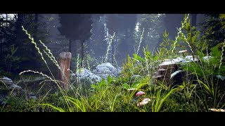 UE4 - Forest path