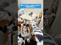 【汚部屋ver】ミセスの｢僕のこと｣替え歌してみた。#shorts #汚部屋 #替え歌