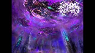 Euphoric Defilement-Ascending To The Worms