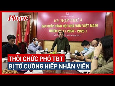 Video Người bị tố cưỡng hiếp ở Báo Văn Nghệ 23 năm trước... - youtube