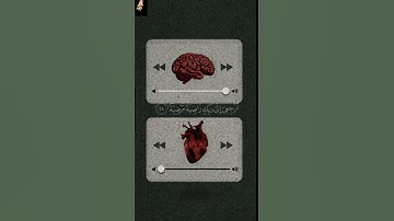 في وقتها والله 🖤🪻#قران_كريم #استوريهات_واتس #تلاوة_خاشعة #اكسبلور #quran بصوت الشيخ ماهر المعيقلي 🖤