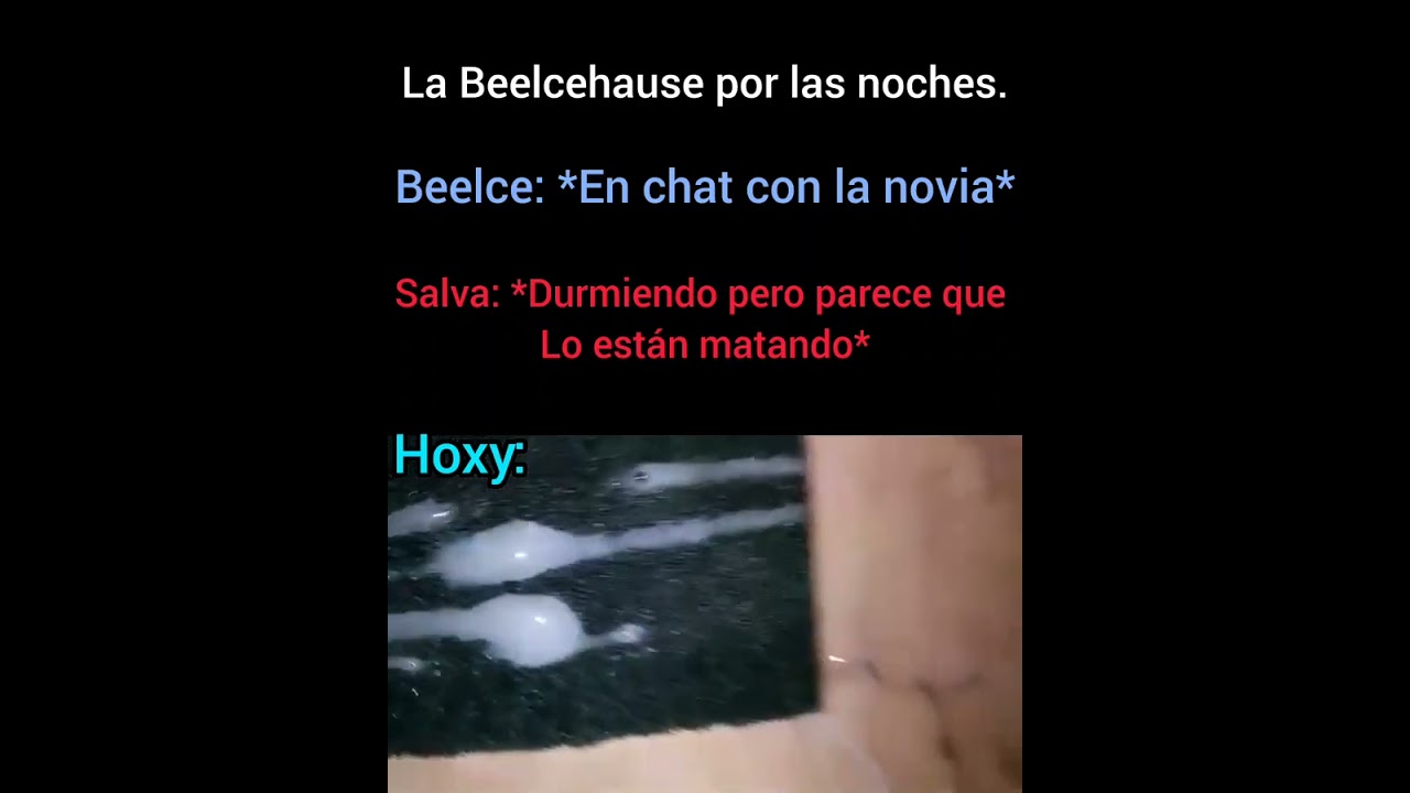 la Beelcehouse 