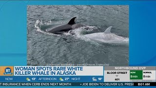 A White Killer Whale Was Caught On Camera