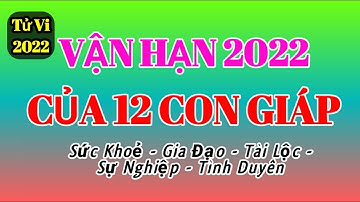Vận Hạn Năm 2022 của Tuổi TÝ SỬU DẦN MÃO THÌN TỴ NGỌ MÙI THÂN DẬU TUẤT HỢI