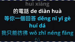 Hui Shuo Hua De Ya Ba 會說話的啞巴 by Andy Lau 劉德華 male karaoke (req)