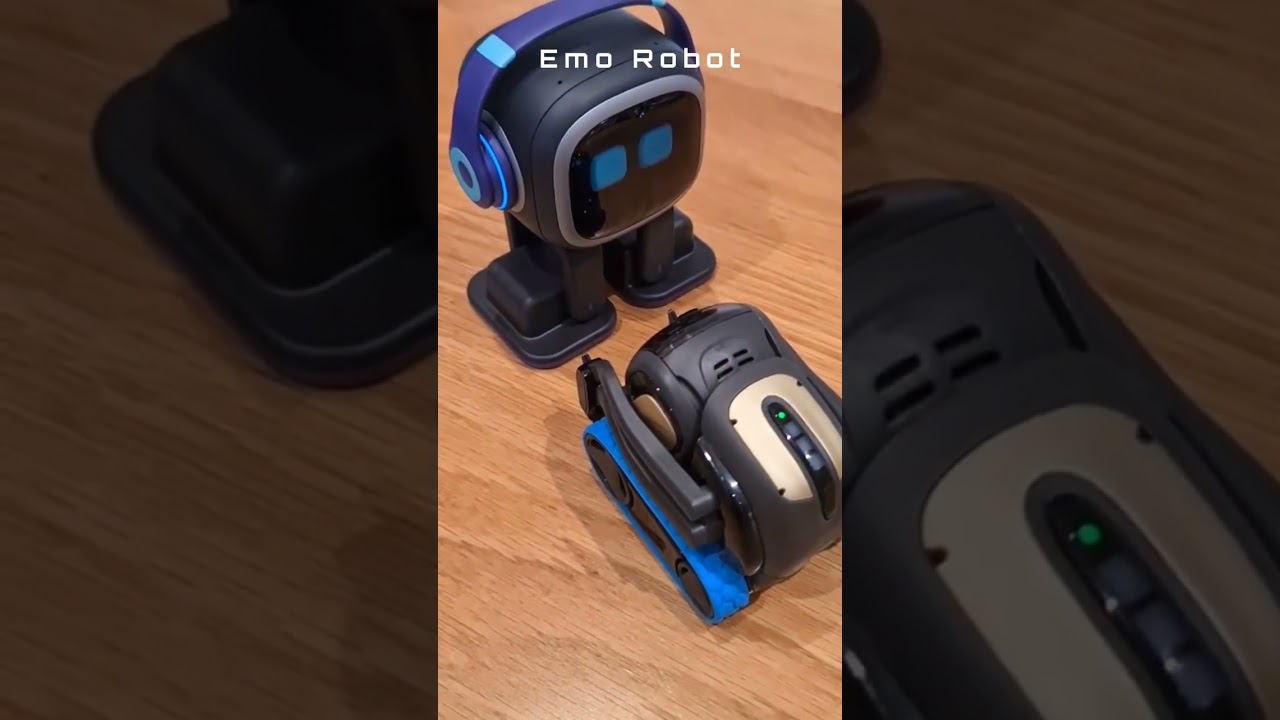 Pet EMO Robots Interact with each other