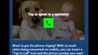 IntelliPlayer Features-IntelliPlayer Video System