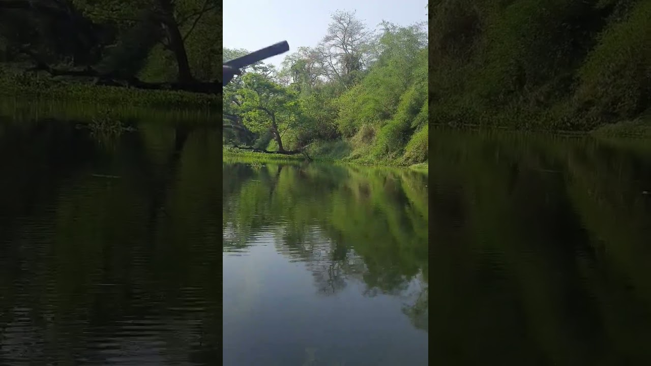 Parmadan wildlife sanctuary westbengal. Ichamati River 