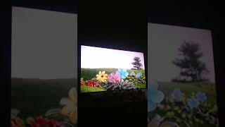 Dance With The Teletubbies The Talking Flowers Give More Compliments