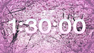 SPRING 90 MIN TIMER