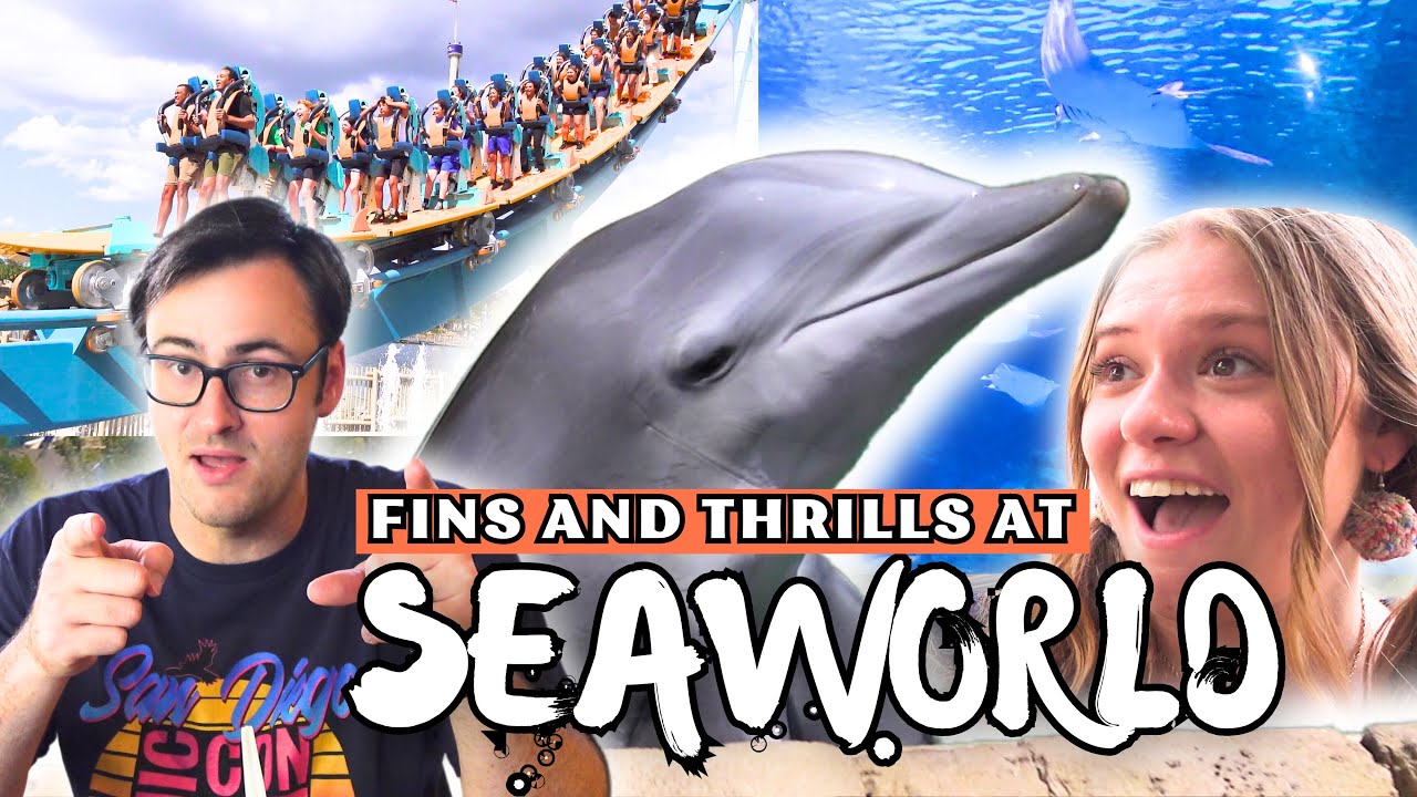 Thrill Surfing at SeaWorld, Orlando | Plus, Kelsey Meets Her Dolphin BFFs!