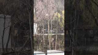 Csx R122-20 westbound empty coal train with helpers