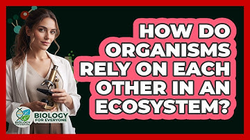 How Do Organisms Rely On Each Other In An Ecosystem?