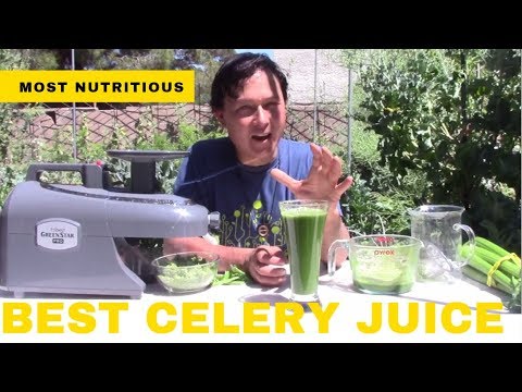 celery en ingles How to Make the Best Celery Juice from Garden to Glass