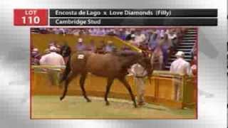lot110