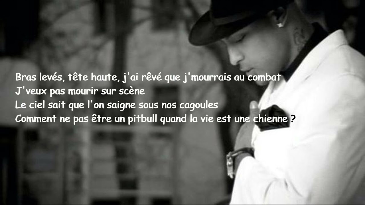 BOOBA - Pitbull (lyrics) - YouTube