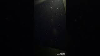 Whatsapp Durum Videosu