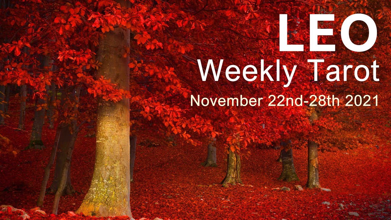 LEO WEEKLY TAROT READING "YOU'RE GETTING YOUR WISH LEO!" November 22nd-28th 2021