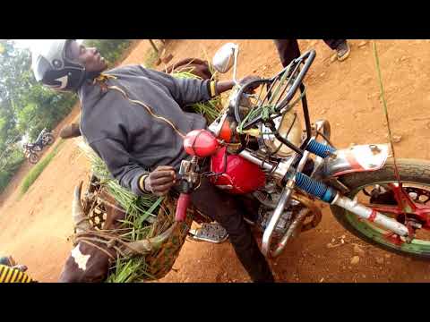 Bodaboda Wa Kigogwe Kata Ya Munzenze Wilaya Ya Buhigwe Mkoa Kigoma 