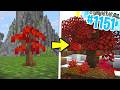 CREO una FORESTA di ACERI GIAPPONESI - Minecraft ITA SURVIVAL #1151