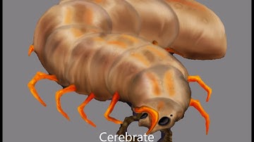 All Zerg Units & Structures (Updated)