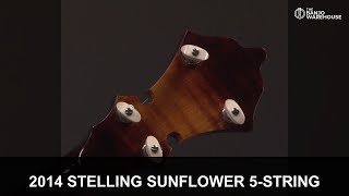 2014 Stelling Sunflower 5-String Banjo Review | $3499 | Near Mint Condition