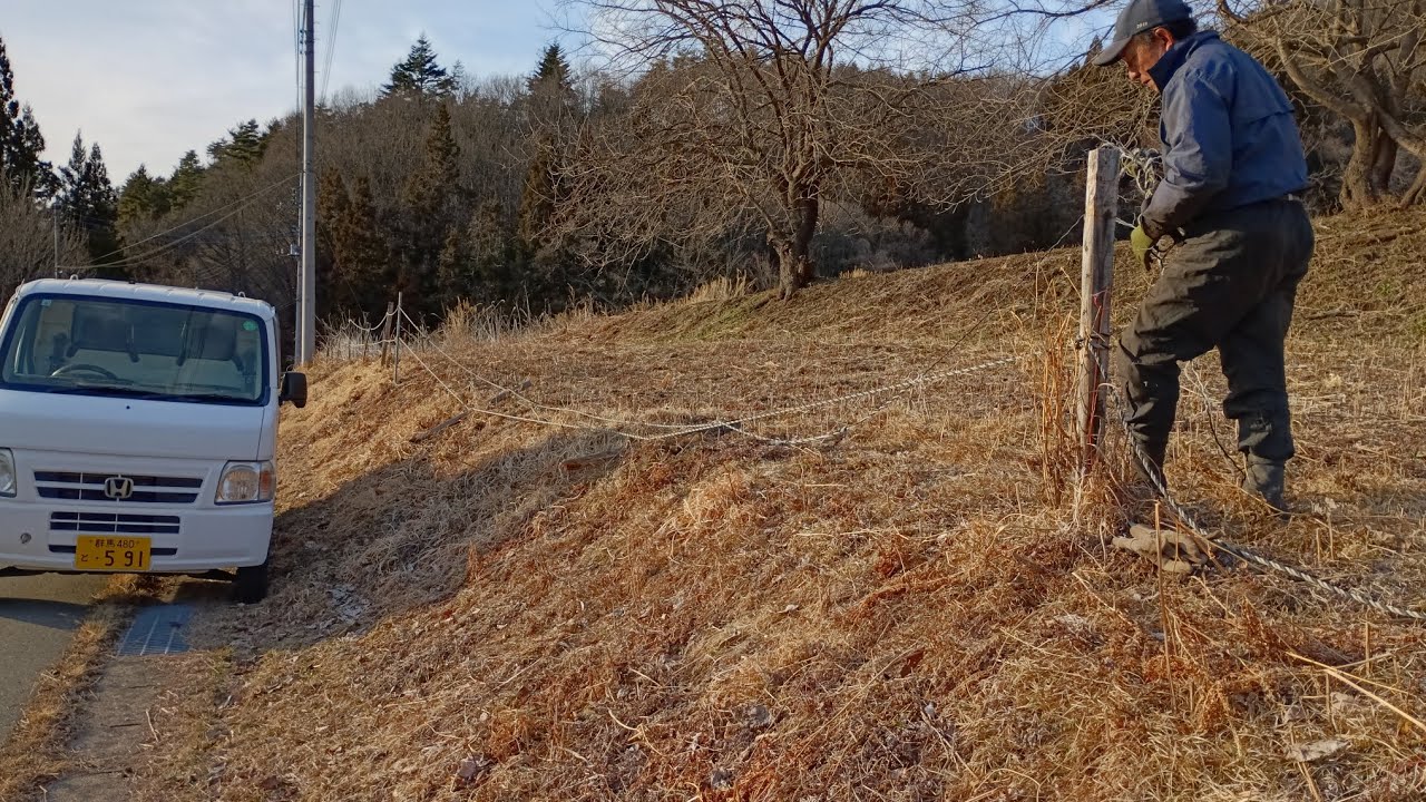 壊れた柵の張り直し