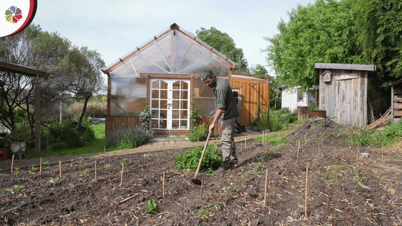 Así controlo CARACOLES y HIERBAS sin venenos en la Mini Granja 👨‍🌾