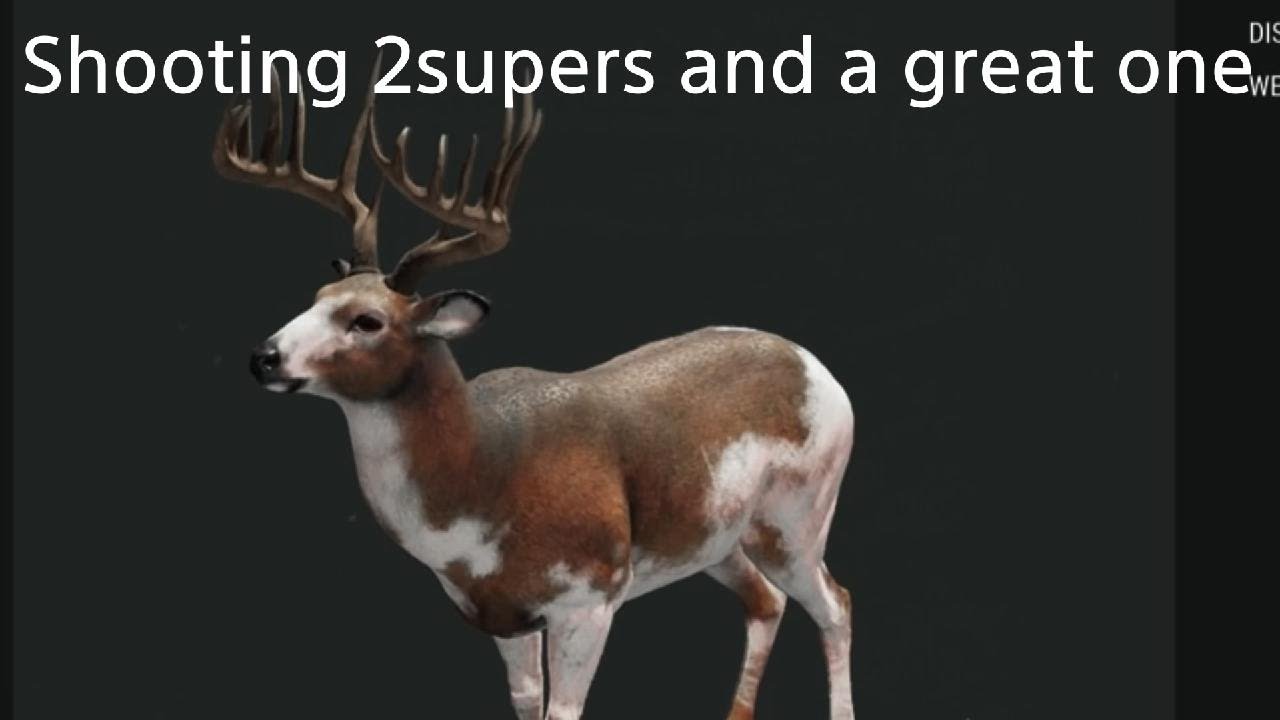 Shooting 2supers and a great one