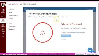 For Teachers Setting up Honorlock for Webassign
