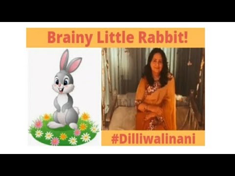 Brainy Rabbit Brainy Little Rabbit! - YouTube