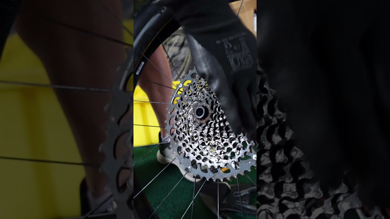 MTB Freehub Soundcheck 