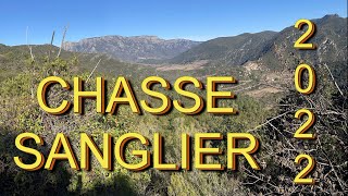 8 SCENES MAGNIFIQUES. CHASSE AUX SANGLIERS