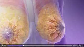 泌乳三维立体动画演示 #人体解剖学Lactation 3D Animation Demonstration #HumanAnatomy