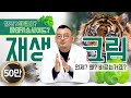 재생크림? 시카(CICA) 크림/화장품! 민감한 피부에 맞는 크림 찾기 feat. 피부과전문의