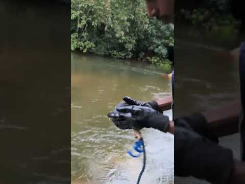 HUGE Magnet Fishing Find You Won T Believe This Magnetfishing Magnetism Magnet Viralvideo