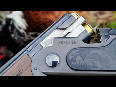 Beretta ULTRALEGGERO CAL 20.....  la piccola piuma