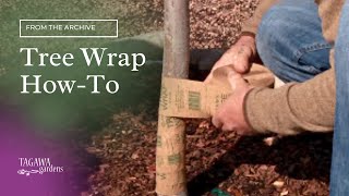 Tree Wrap How To by Tagawa Gardens & Mike Landers, ISA Certified Arborist