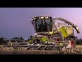 Claas Jaguar 980 Shredlage Special Edition | Corn Silage 2018 | Gruppo PEA