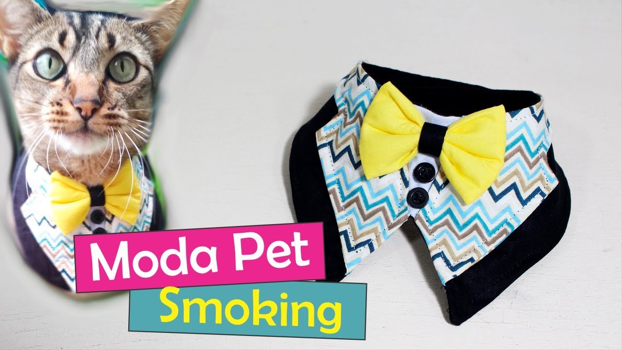 #9 Moda Pet: Smoking luxo