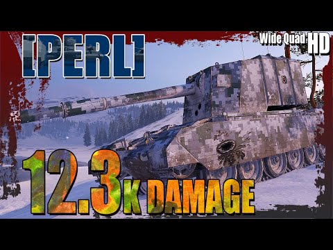 FV4005: 12.3k damage [PERL]