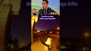 Billu Ontap Player Hu