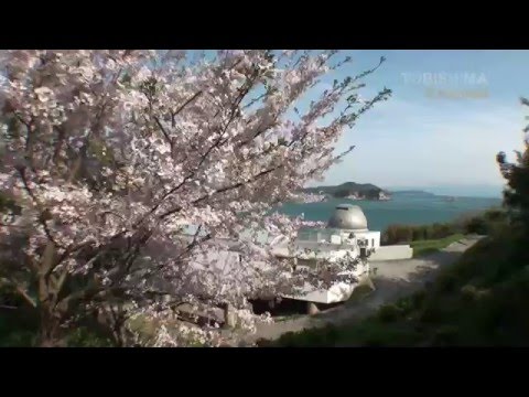 いきものがかり ♪ SAKURA ～Piano Solo～