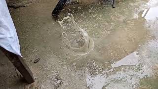 Throwing Rock into Water in Slow Motion (1)