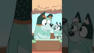 Socks And Dad Stripe Honk Nose