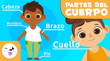 Las partes del cuerpo humano para niños | Vídeos educativos para niños