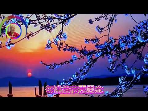 《九月九的酒》